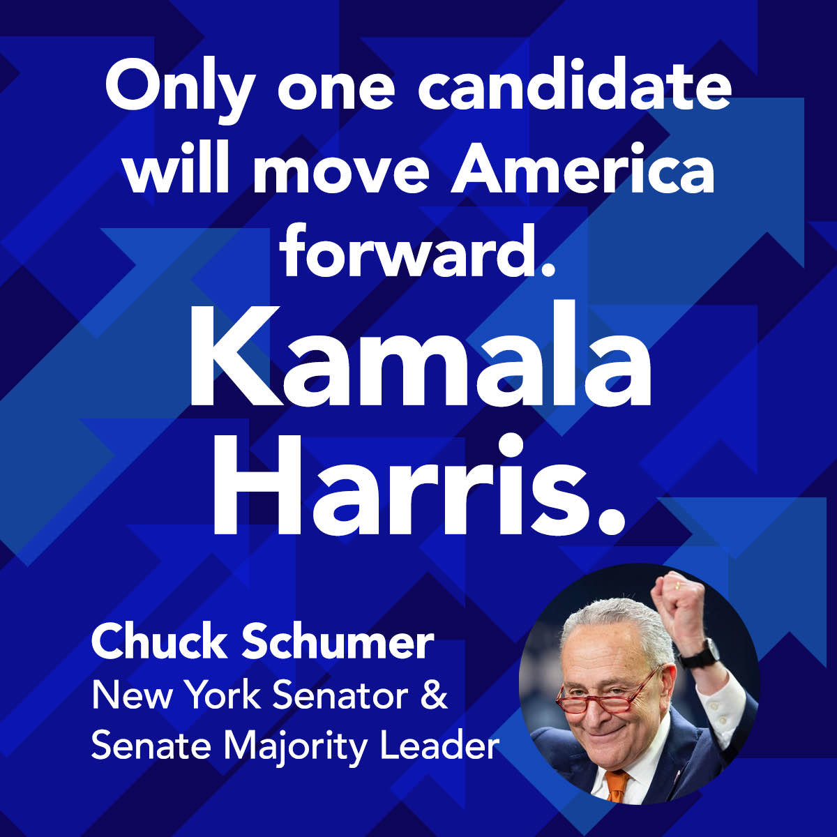 ChuckSchumer-Move-Forward.jpg